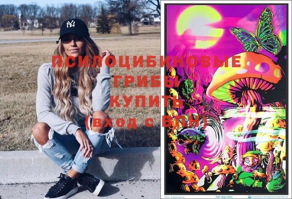 гашик Волоколамск