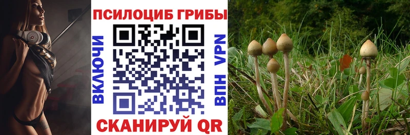 Псилоцибиновые грибы прущие грибы  MEGA ссылка  Суворов  купить наркоту 