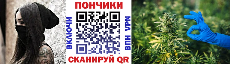 Конопля планчик  Суворов 